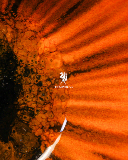 Nº 1 [Blackhole Bowl]